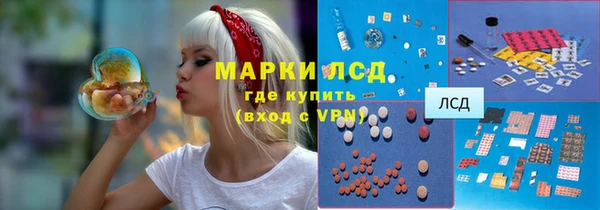 шишки Медвежьегорск