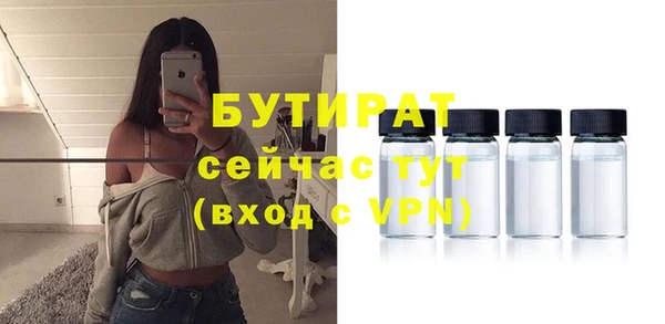 шишки Медвежьегорск