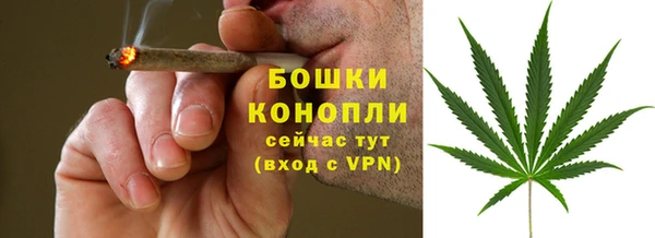 шишки Медвежьегорск