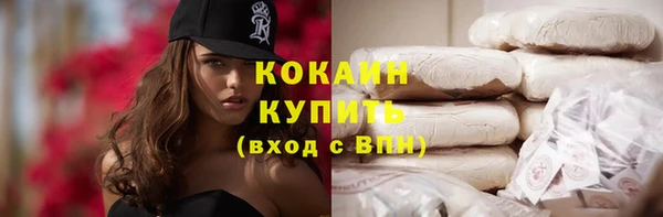 шишки Медвежьегорск