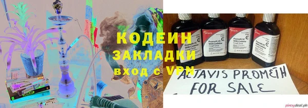 шишки Медвежьегорск