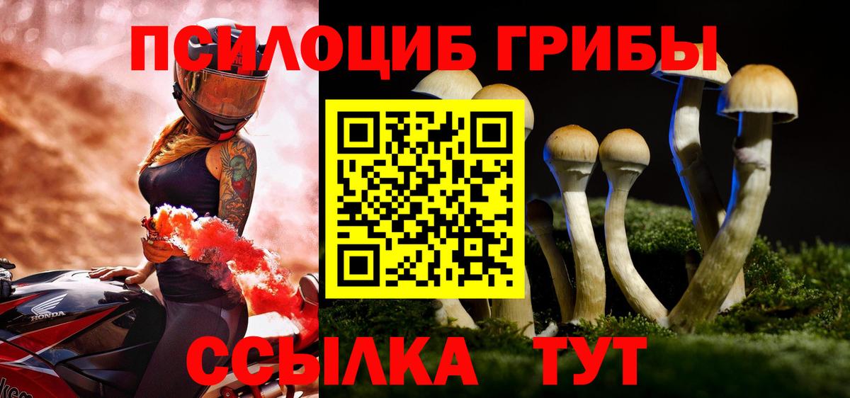 Балаково  Галлюциногенные грибы Psilocybine cubensis  Вход с VPN 